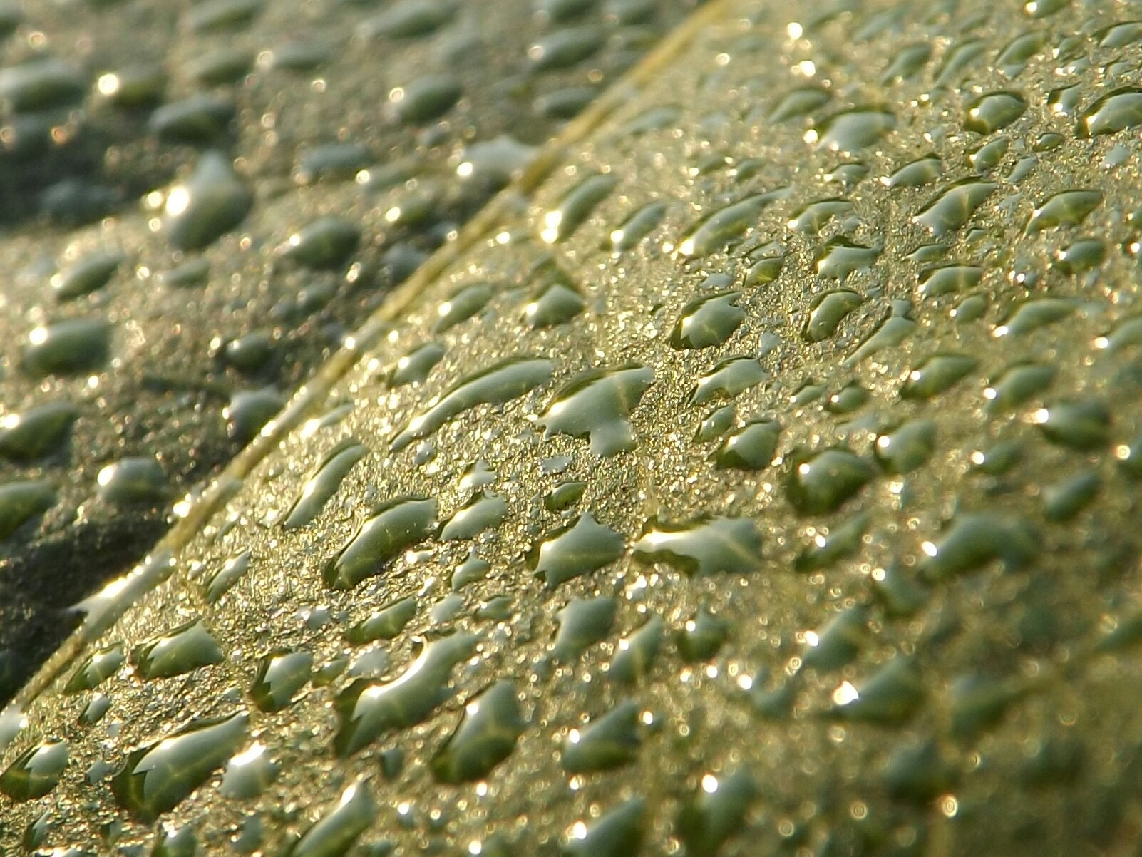 280275809_2048.jpg